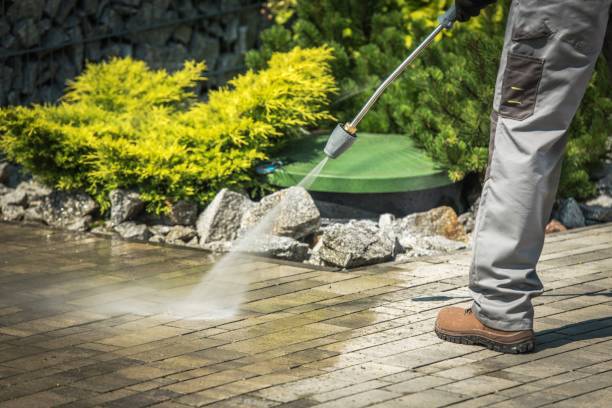 Boat and Dock Cleaning in Cokato, MN